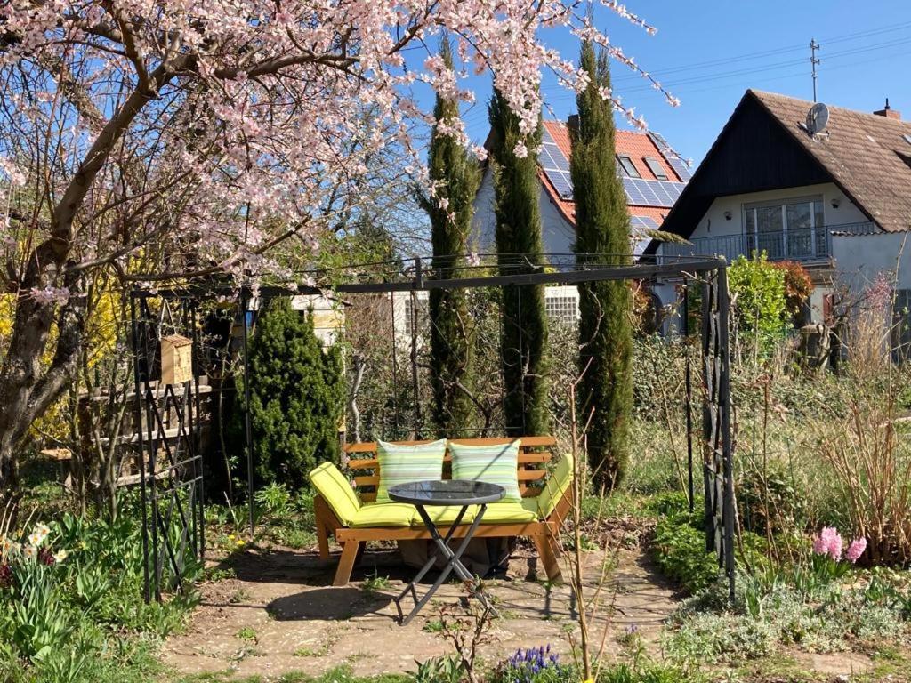 Terrassenwohnung Neustadt an der Weinstraße Exterior foto