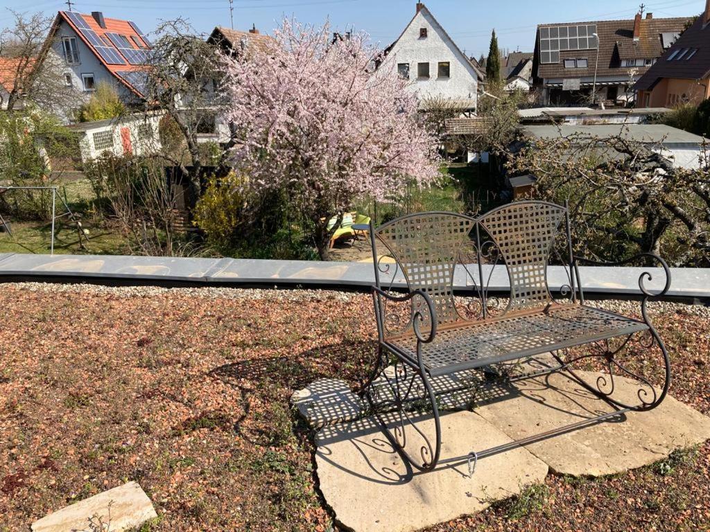 Terrassenwohnung Neustadt an der Weinstraße Exterior foto